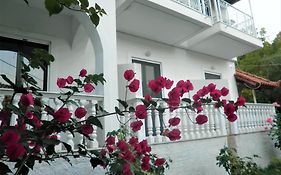 Aktipis Studios